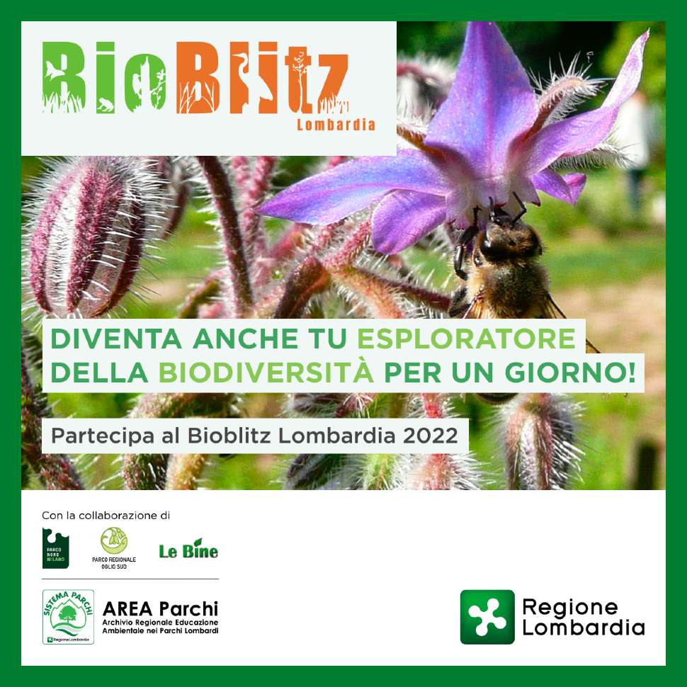 Bioblitz Parco del Mincio 2022