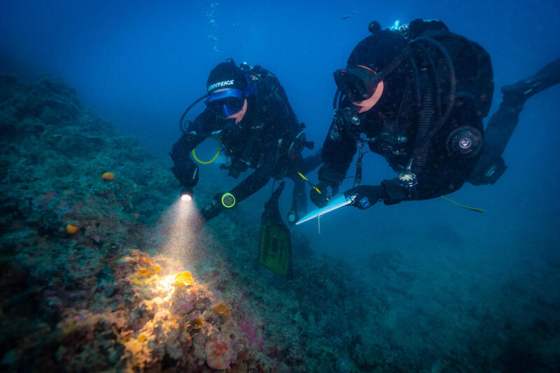 Cinque Terre Aderisce Al Progetto Mare Caldo Di Greenpeace Parco