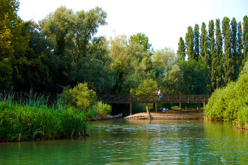 Riaperte Le Passerelle Dei Burci Parco Regionale Del Fiume Sile