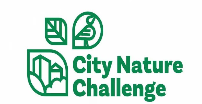 City Nature Challenge 2024 