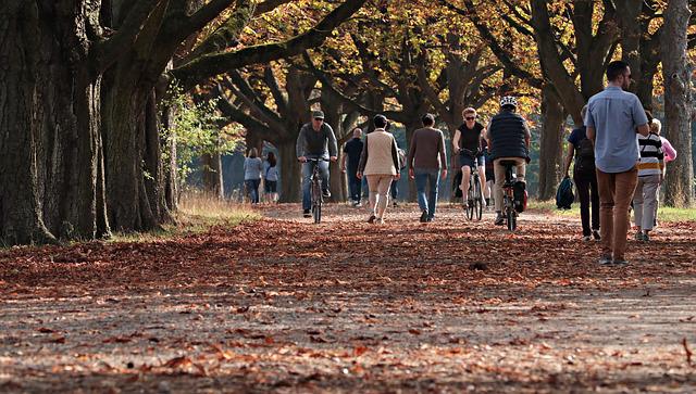 Nuovi boschi piste e filari di alberi nel futuro del parco della